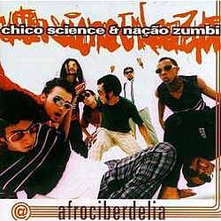 NAÇÃO ZUMBI: Trinta anos de Afrociberdelia, um álbum histórico! – DISCÃO